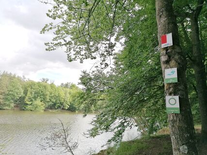 Blick auf den Möhlwoog