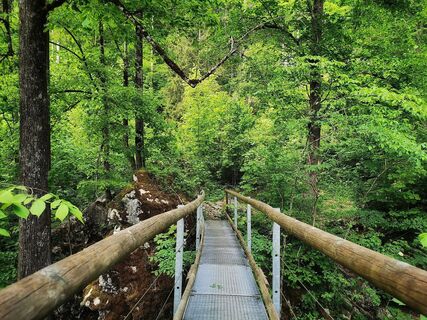 Brücke im Höhlenpark Bezau