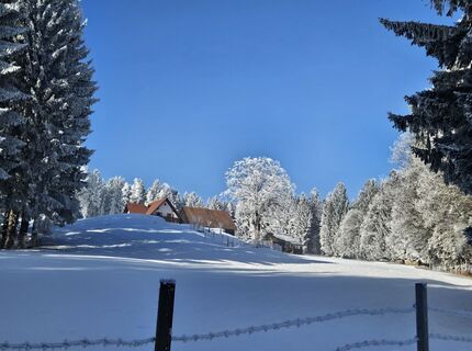 Foto von Franz Russ entlang der Tour