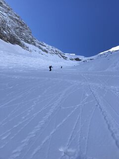 Foto von Heikoala entlang der Tour