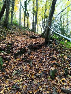 Foto de Dario Mansi a lo largo del recorrido