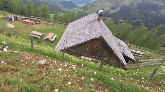 Fotografija s spletne strani Regina Fleischmann na poti