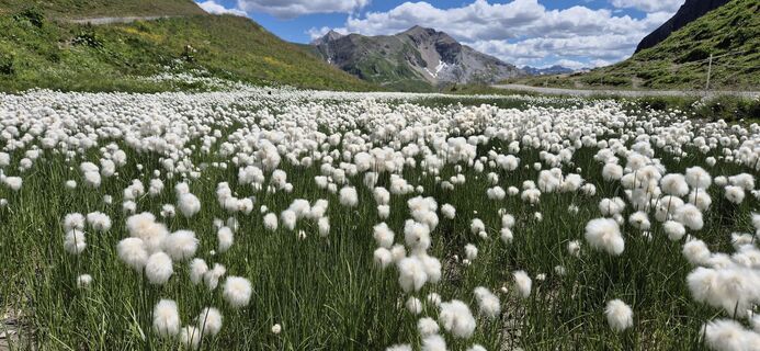 Fotografija s spletne strani Dinc Soyalp na poti