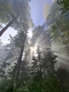 Foto de Maurer Silvia a lo largo del recorrido