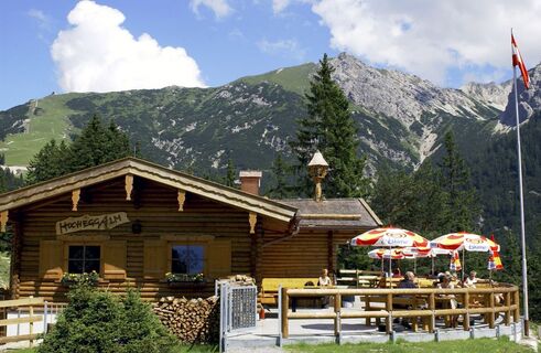 Hochegg-Alm 1.545 m