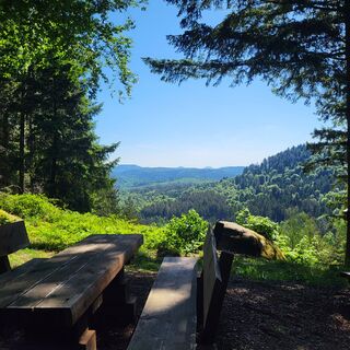 Ausblick vom Aussichtspunkt Trifelsblick in Richtung der berühmten Reichsburg