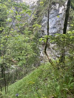 Foto von ralf Humer entlang der Tour