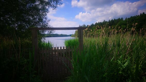 Photo de Betzenbergfex le long du parcours