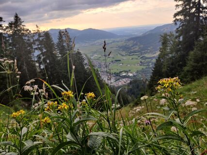 Foto von Gerald Kadelbach entlang der Tour