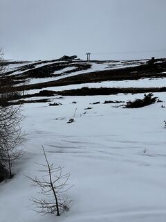 Foto de Schabsi a lo largo del recorrido