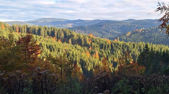 Fotografia z Karl Kriegseisen na trase