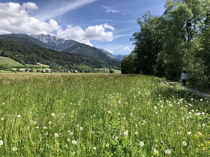 Ennsrundweg bei Schladming