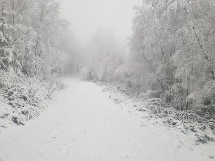 Foto de Volker Wagener a lo largo del recorrido