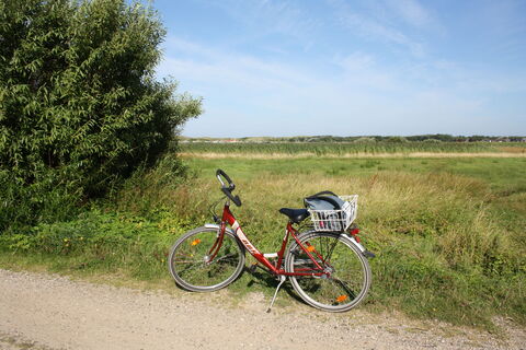 Fahrrad in den Tinnumer Wiesen
