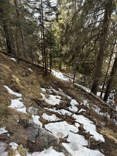 Zdjęcie z Markusss wzdłuż trasy