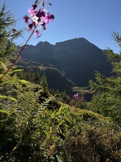 Foto von Zweman entlang der Tour