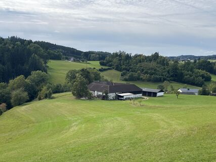 Foto von Alfred Weber entlang der Tour
