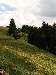 Zdjęcie z Erwin Krumböck wzdłuż trasy