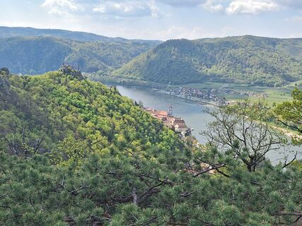 Foto de Reinlinde Trummer Milkovits a lo largo del recorrido