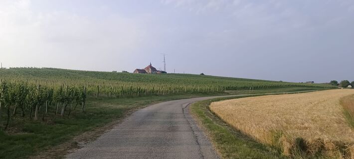 Fotografia z Bernhard Aichholzer na trase