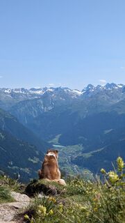 Foto fra Klaus Lehner undervejs på turen