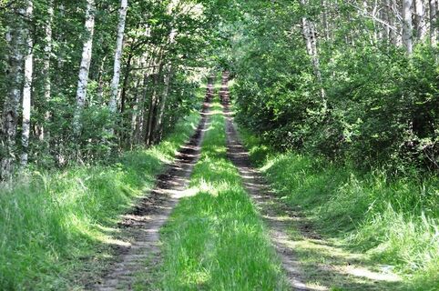 Der Kolonnenweg