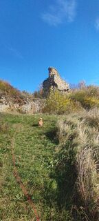 Photo de Christine Fischer le long du parcours