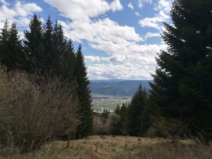 tour 20a - mtb - fohnsdorfer graben bis zur hammerl eckwiese_img_51425946