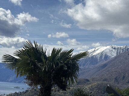 Foto von Zengaffinen Erwin entlang der Tour