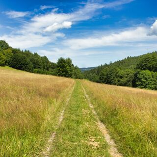 unterwegs im Griesetal