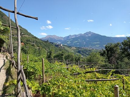 Foto de Ibo Baur a lo largo del recorrido