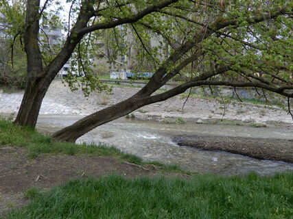 Liesing - Neu Albern