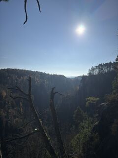 Fotografia z Steffen Kiesel na trase