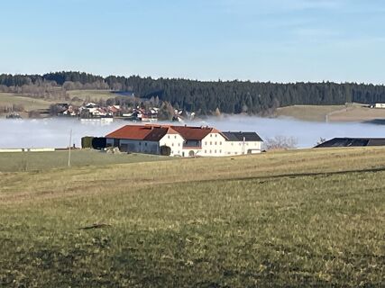 Photo de Alfred Weber le long du parcours