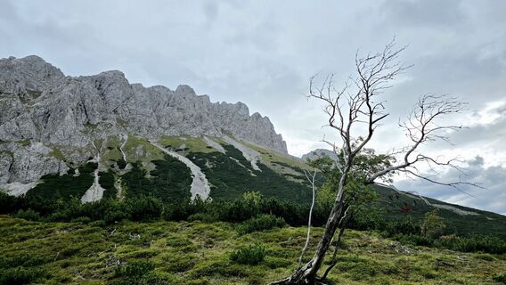 Foto von Veronika Strauss entlang der Tour