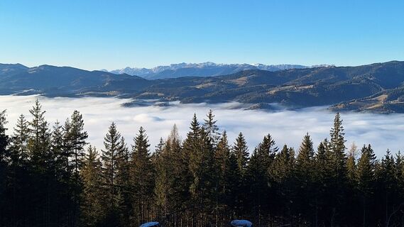 Foto von Susi Puhl entlang der Tour
