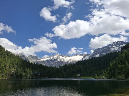 Fotografija s spletne strani Magnus Moser na poti