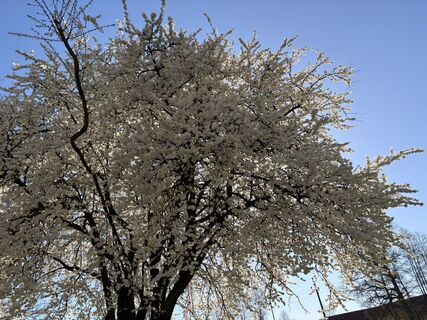 Foto de Nina Astleitner a lo largo del recorrido