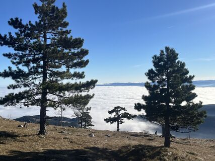 Zdjęcie z kristianduus wzdłuż trasy