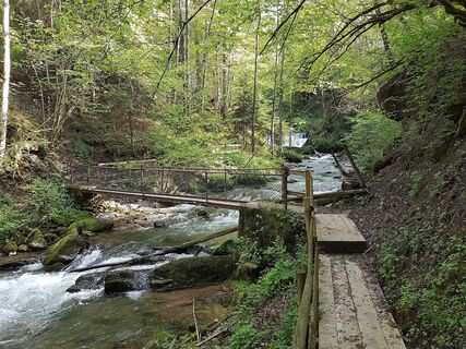 Brühlbach Wasserfall