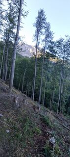 Zdjęcie z Mario Libardi wzdłuż trasy