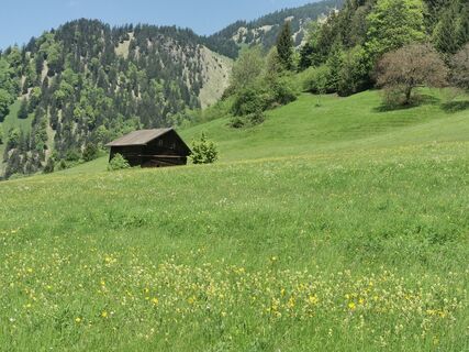 Fotografija s spletne strani Waldläufer na poti