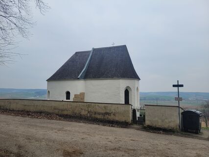 Foto de mmecki a lo largo del recorrido