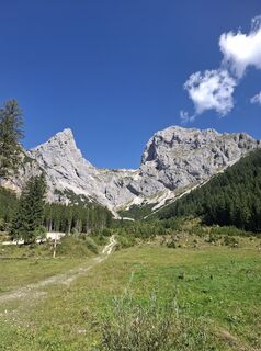 Fotografija s spletne strani Michaela Schnetzinger na poti