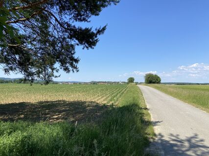 Fotografija s spletne strani Werner Schwarz na poti