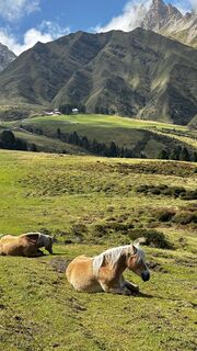 Foto von Angus William entlang der Tour