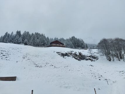 Foto von Manni W. entlang der Tour