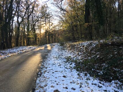 Fotografia z Gyula Gerecs na trase
