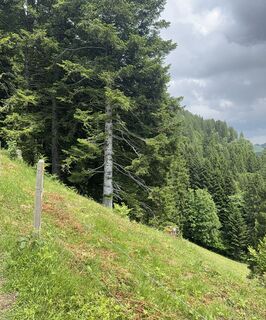 Foto fra Fábi undervejs på turen