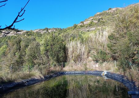 Photo de carmper le long du parcours